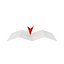 Kartenpapier und roter Pfeilstift
