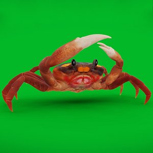 3D Halloween Moon Crab