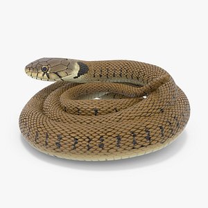 Grass Snake Brown Rigged