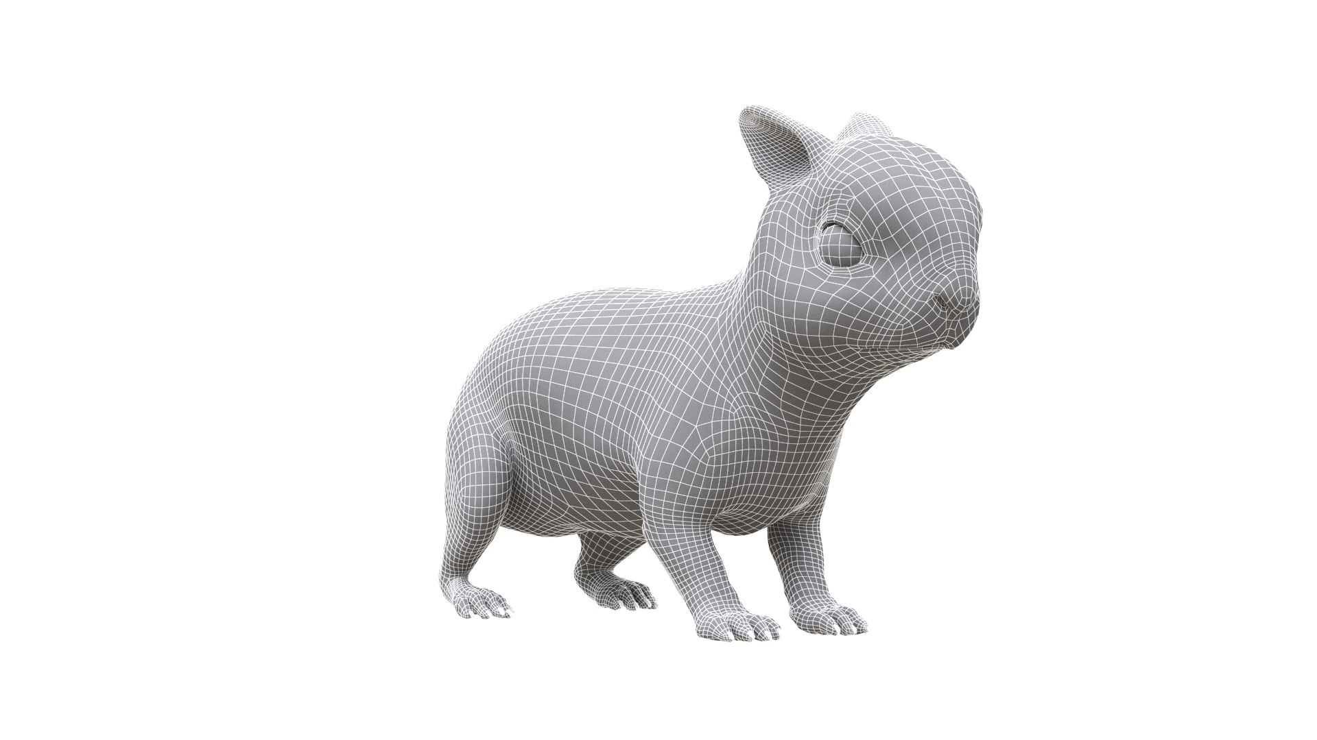 Bunny model https://p.turbosquid.com/ts-thumb/na/yVMedZ/5L/rabbit_000/jpg/1663840286/1920x1080/fit_q87/1261368b24ab570127f3f986510fd486ee5d70a8/rabbit_000.jpg