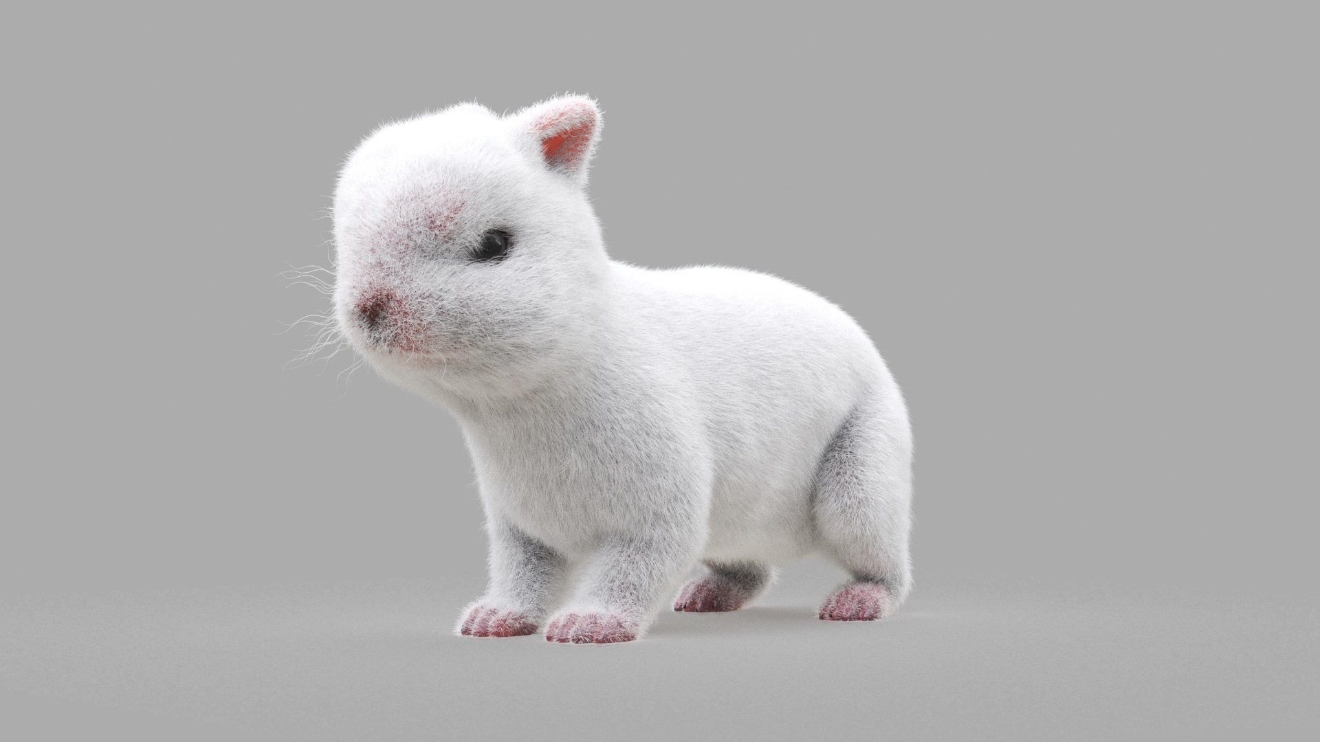 Bunny model https://p.turbosquid.com/ts-thumb/na/yVMedZ/dY/rabbit_0022/jpg/1663835070/1920x1080/fit_q87/ce0e8fbfe494f5f99e0cff5542ffd2839bd79d72/rabbit_0022.jpg