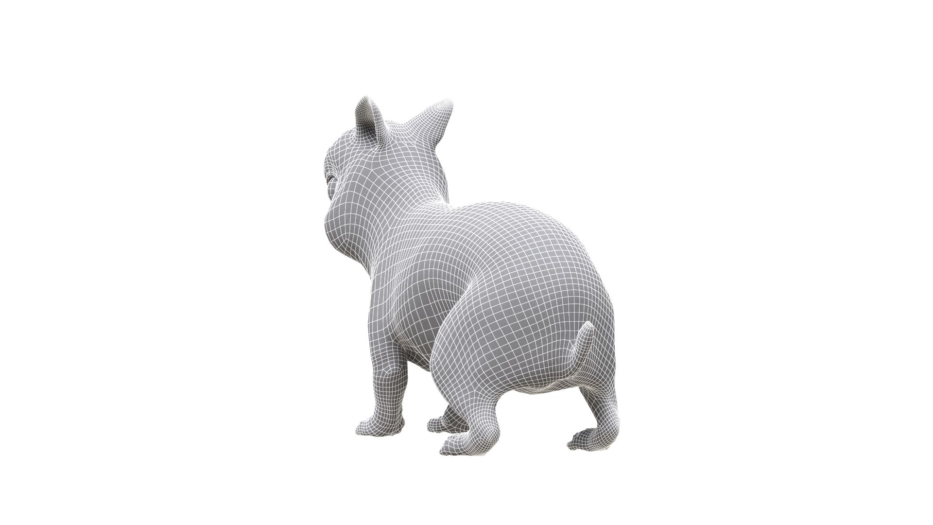 Bunny model https://p.turbosquid.com/ts-thumb/na/yVMedZ/kC/rabbit_013/jpg/1663840286/1920x1080/fit_q87/8f88077cf650d65edac698fa6d432f48e32d97ab/rabbit_013.jpg