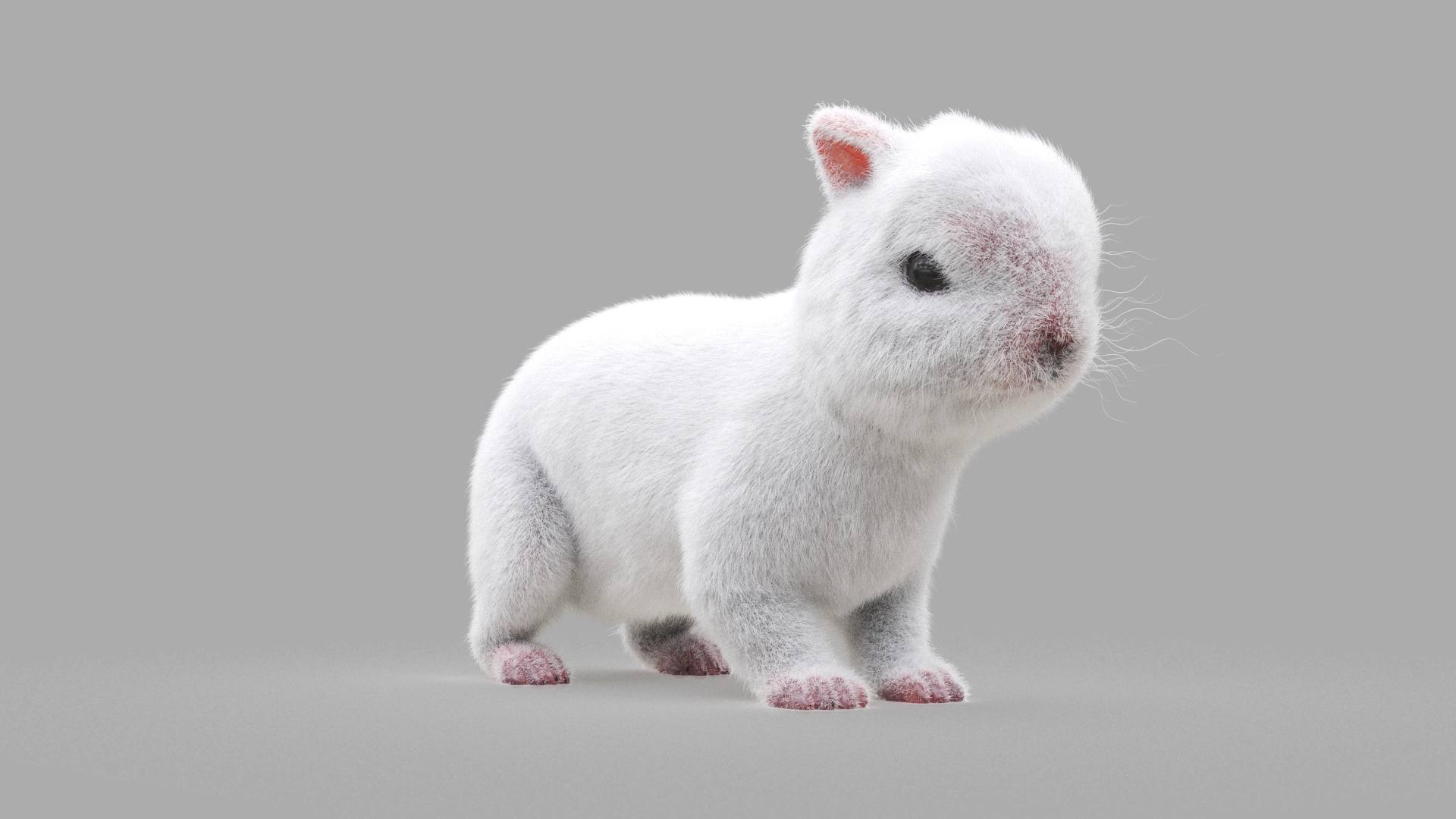 Bunny Model - TurboSquid 1962506