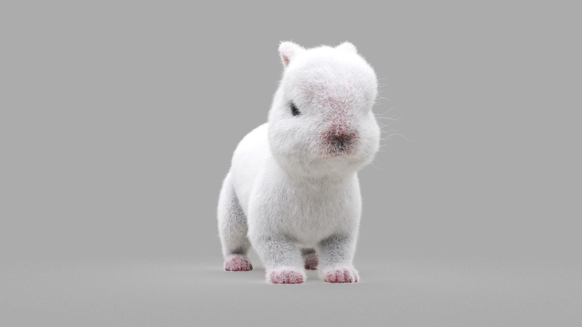 Bunny model https://p.turbosquid.com/ts-thumb/na/yVMedZ/xR/rabbit_0026/jpg/1663835071/1920x1080/fit_q87/52935dd15438efbb18f95c192ffc1556488caffd/rabbit_0026.jpg