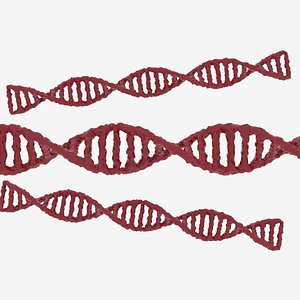 DNA