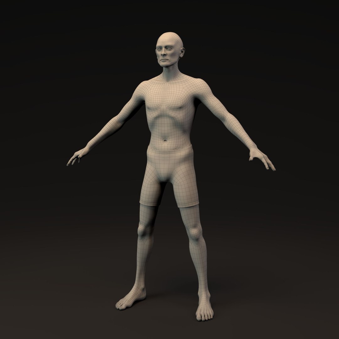 Morphable Man and Woman Bundle 3D model https://p.turbosquid.com/ts-thumb/nb/7pDjBC/nS/morphable_man_hires_front_wire_001/jpg/1732329946/1920x1080/fit_q87/7ef5eb1a85448e714ec474cc5282662ff46de2a9/morphable_man_hires_front_wire_001.jpg