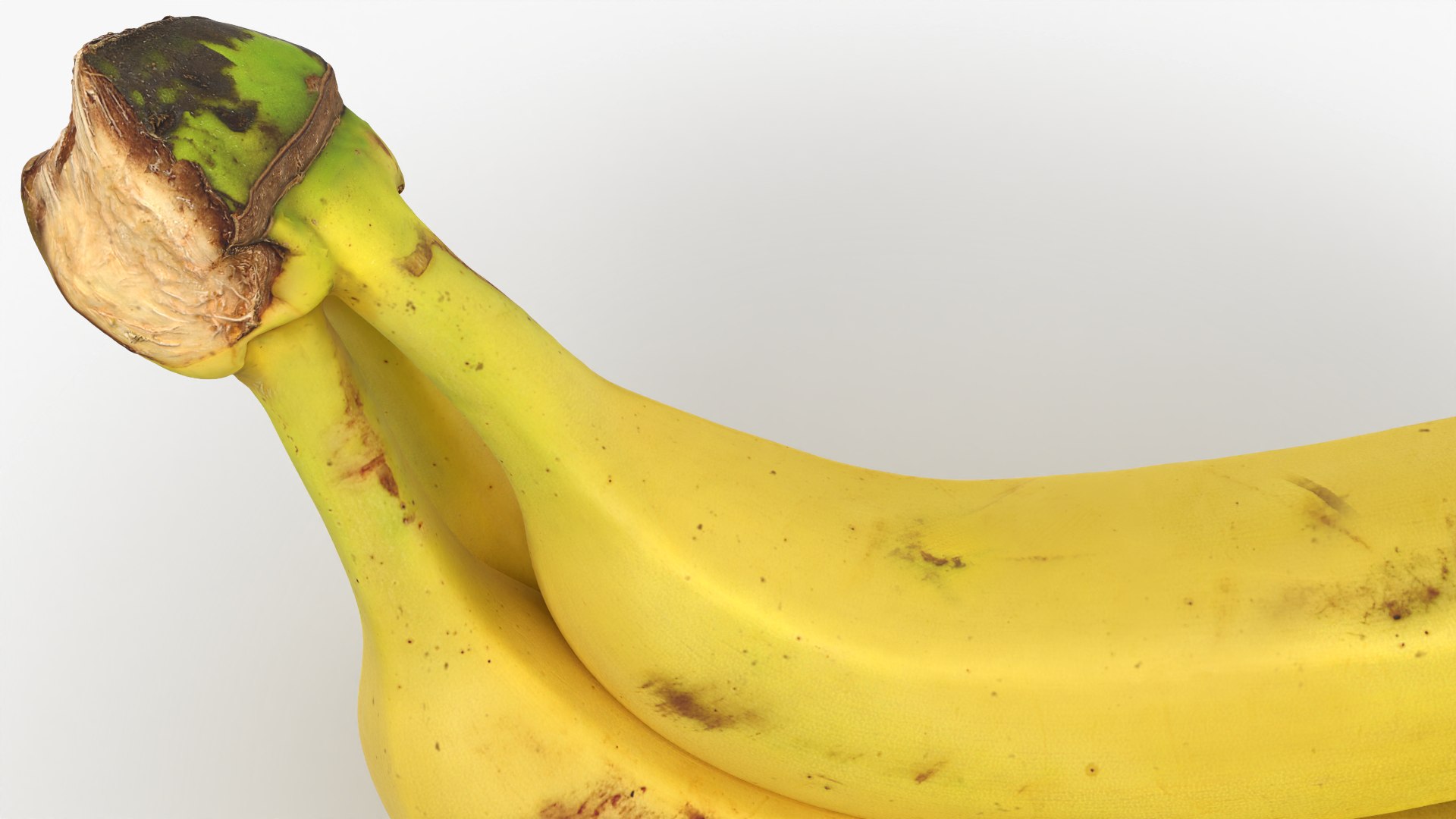 Banana Trio Bunch 3D https://p.turbosquid.com/ts-thumb/nb/Nr02sm/54/bunchbananav3_0006/png/1782416425/1920x1080/fit_q87/a63631bf059828990120e71e087419a3cf394c23/bunchbananav3_0006.jpg