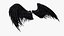 Black Wings