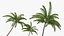 tropical island palms 3D model