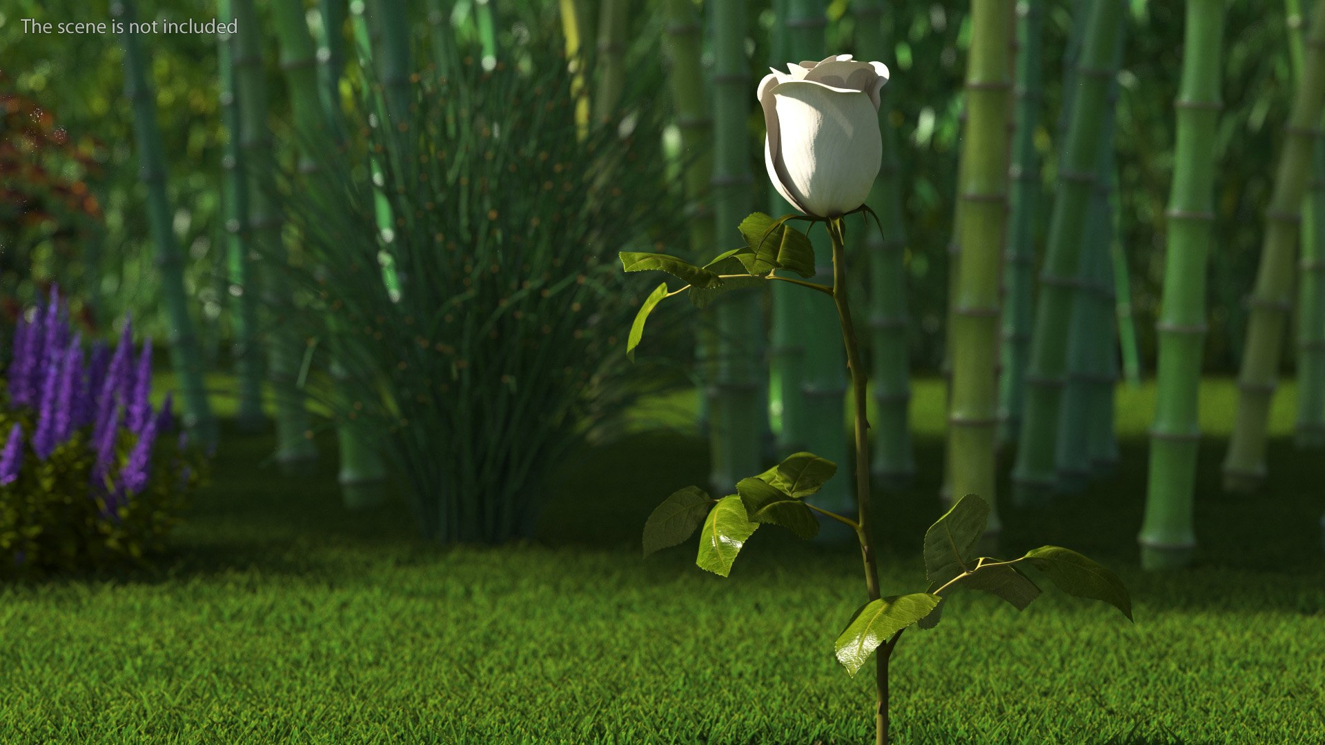 3D Single Rose Stem with Leaves model https://p.turbosquid.com/ts-thumb/nb/jQGXV4/4z/single_rose_stem_with_leaves_003/jpg/1742007563/1920x1080/fit_q87/89528c404bb04c8d2962ccbceacfa78724e9b490/single_rose_stem_with_leaves_003.jpg