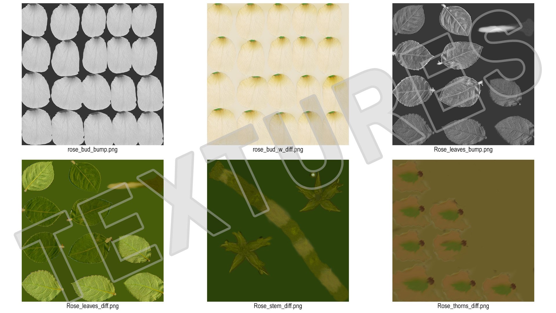 3D Single Rose Stem with Leaves model https://p.turbosquid.com/ts-thumb/nb/jQGXV4/E8/single_rose_stem_with_leaves_017/jpg/1742007606/1920x1080/fit_q87/25aa4c47ad67bda42fea6c326d1f6c0040e336fa/single_rose_stem_with_leaves_017.jpg