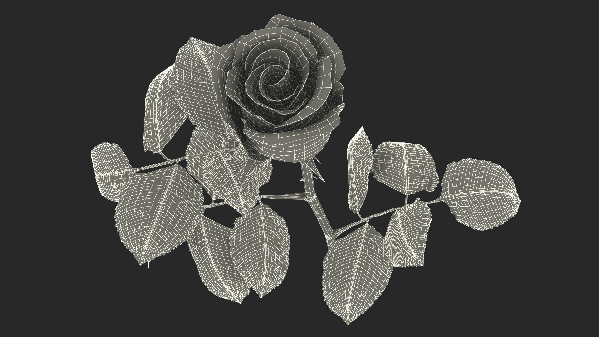 3D Single Rose Stem with Leaves model https://p.turbosquid.com/ts-thumb/nb/jQGXV4/RA/single_rose_stem_with_leaves_020/jpg/1742007617/1920x1080/fit_q87/b07c0b16acdf6fee2b59c87769e112d44cbdda45/single_rose_stem_with_leaves_020.jpg