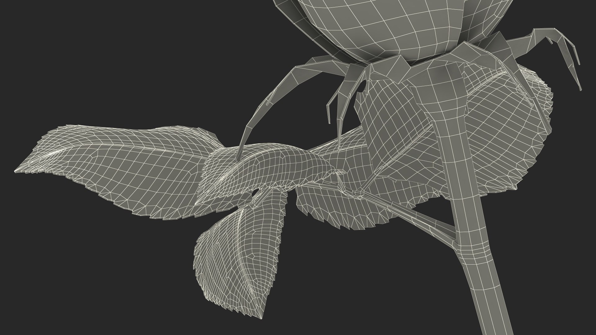 3D Single Rose Stem with Leaves model https://p.turbosquid.com/ts-thumb/nb/jQGXV4/SR/single_rose_stem_with_leaves_024/jpg/1742007630/1920x1080/fit_q87/192b98f9763c176cca979efbf53a55732eb99819/single_rose_stem_with_leaves_024.jpg
