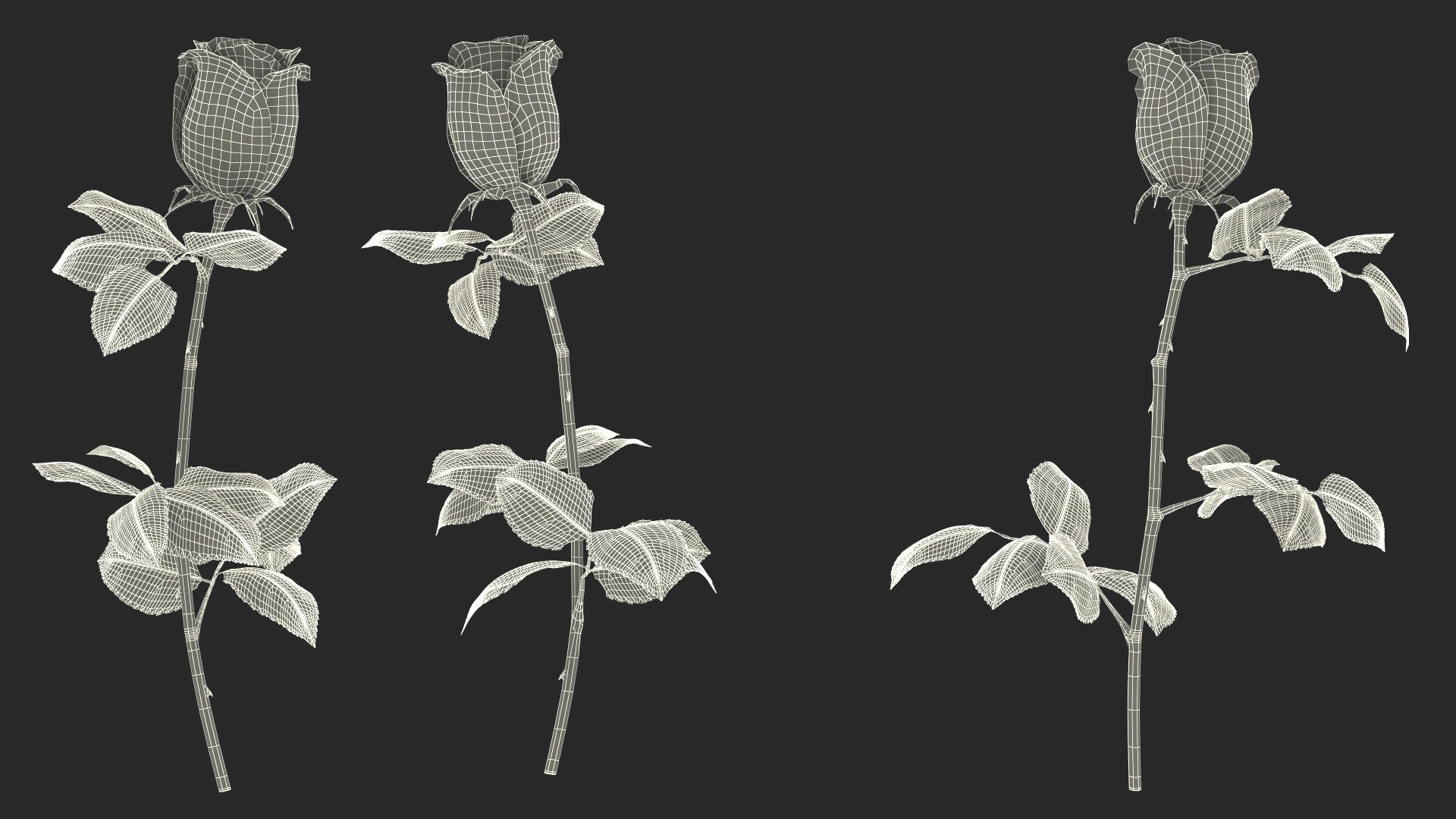 3D Single Rose Stem with Leaves model https://p.turbosquid.com/ts-thumb/nb/jQGXV4/Vg/single_rose_stem_with_leaves_019/jpg/1742007613/1920x1080/fit_q87/bc191b65ce22641dbec700bb861885be8d866013/single_rose_stem_with_leaves_019.jpg