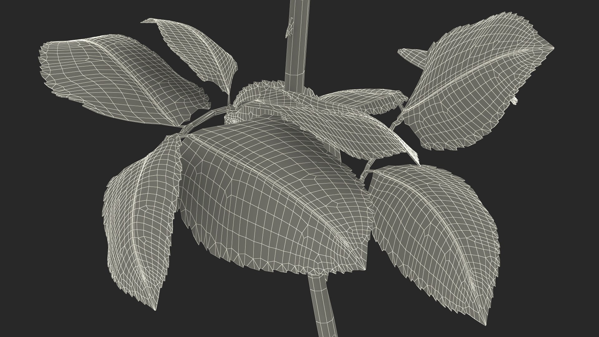 3D Single Rose Stem with Leaves model https://p.turbosquid.com/ts-thumb/nb/jQGXV4/Vx/single_rose_stem_with_leaves_025/jpg/1742007633/1920x1080/fit_q87/45df8529a0b1c73b5c7e40eda77692100376ab9b/single_rose_stem_with_leaves_025.jpg