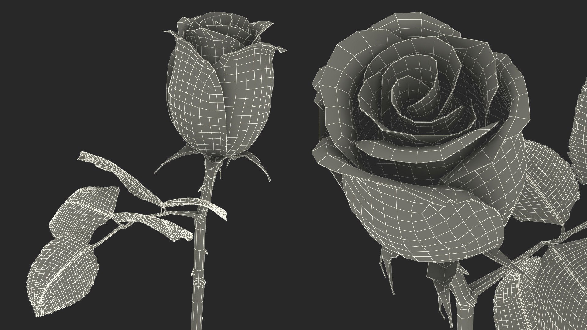 3D Single Rose Stem with Leaves model https://p.turbosquid.com/ts-thumb/nb/jQGXV4/WE/single_rose_stem_with_leaves_023/jpg/1742007626/1920x1080/fit_q87/7ca952e65700d866f3ac9c971a92b75af8cf7b3d/single_rose_stem_with_leaves_023.jpg