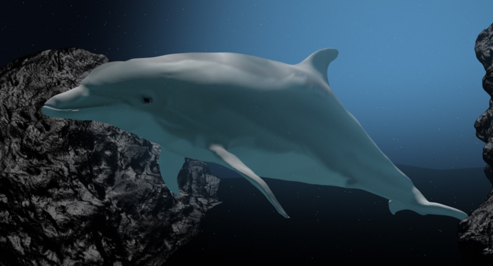 3D Dolphin Bottlenose - TurboSquid 1187720