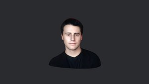 Joey Tribbiani from Friends- Realistic bust head ready 3d Model