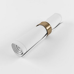 3D napkin model