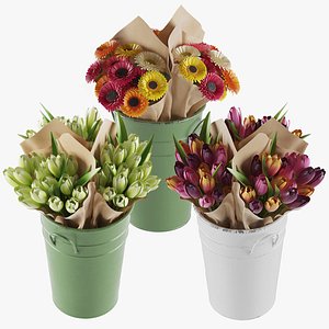 Flowers In Buckets Bundle