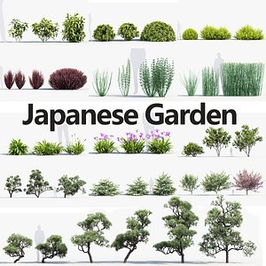 Package 11 Japanese Plants 3D model