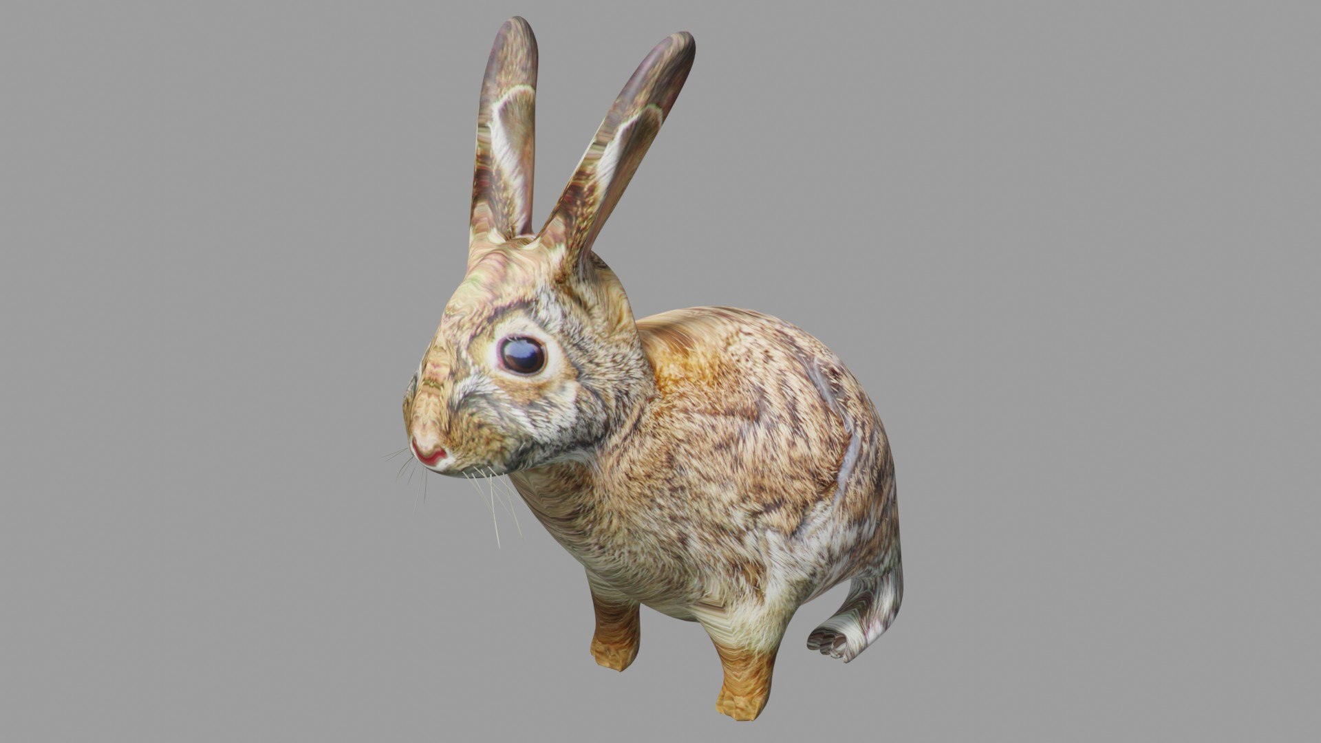 2xPack Rabbit and Badger Obj and Blend 3D model https://p.turbosquid.com/ts-thumb/nc/6Ksef5/on/2/jpg/1702250726/1920x1080/fit_q87/b1b34ce24ed6c7f6ba372c509cd0c8a59cfd9b31/2.jpg