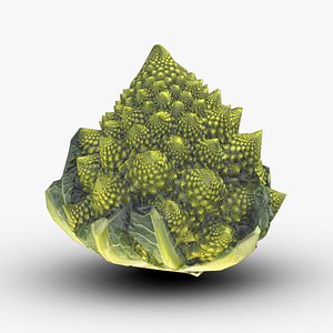 Romanesco Low Poly model