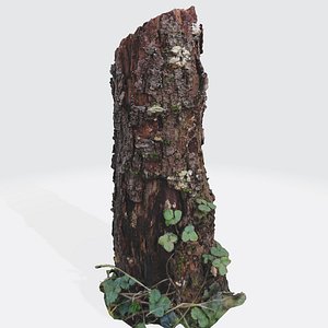 3D photorealistic peach treetrunk