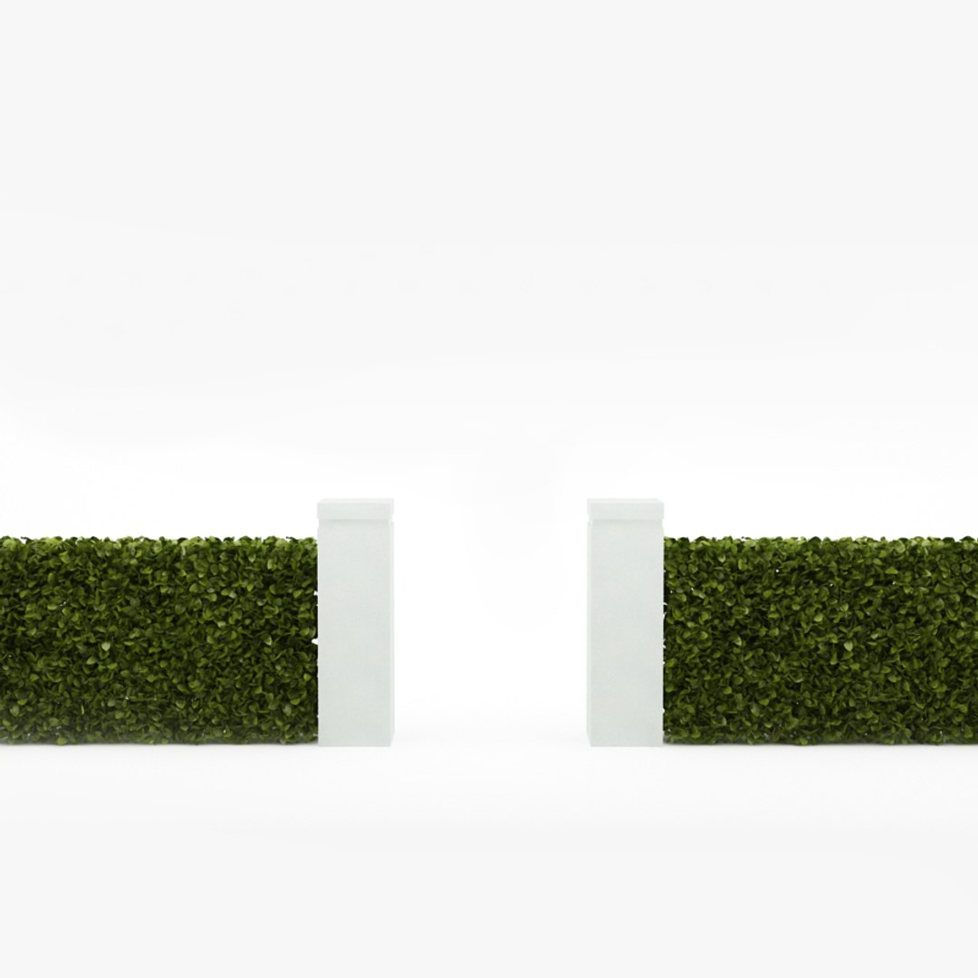 Bush Plant Hedge 3d Model
