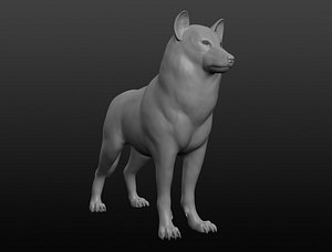 3D wolf base mesh