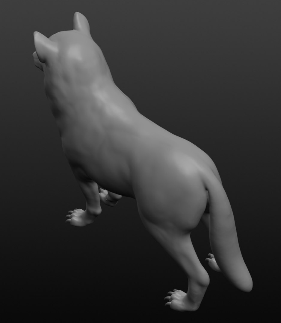 3D Wolf Base Mesh - TurboSquid 1412465
