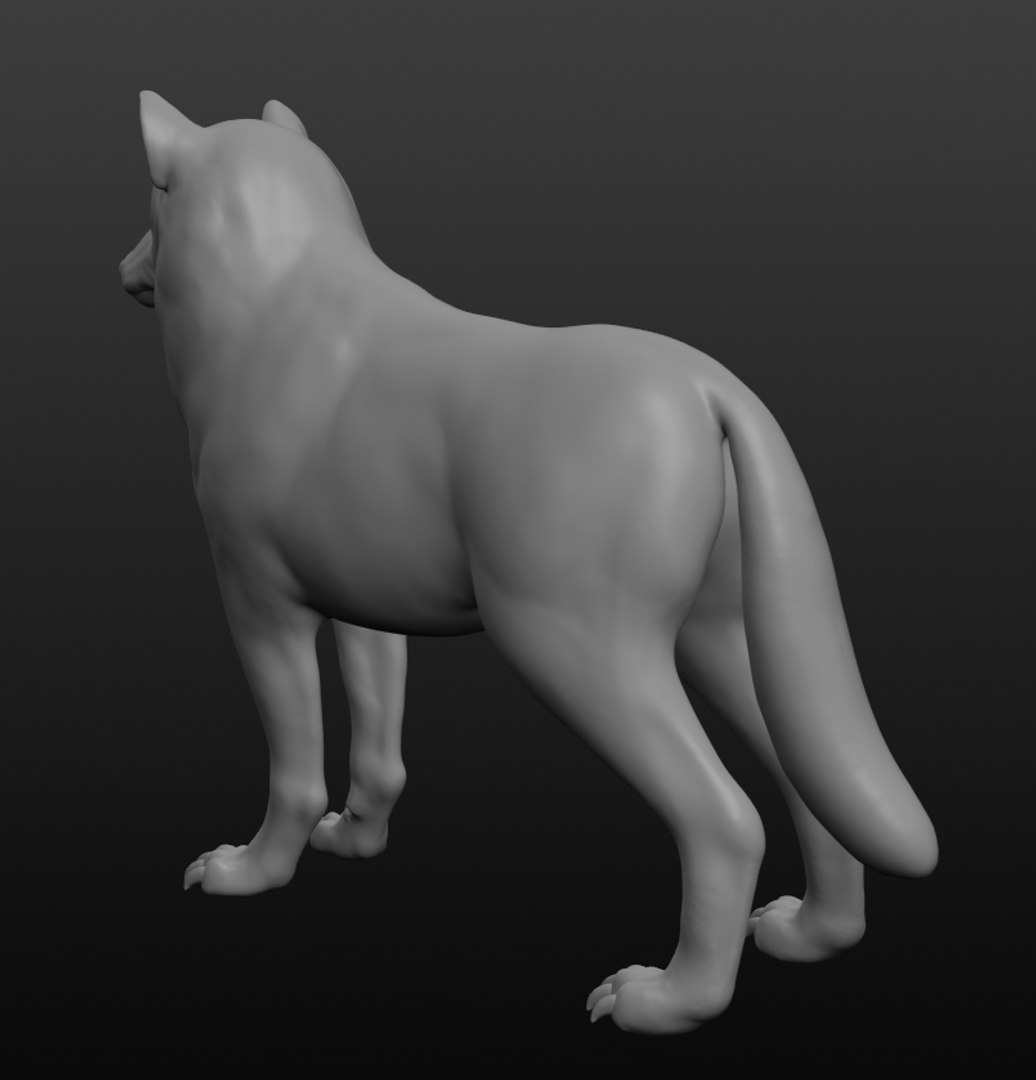 3D Wolf Base Mesh - TurboSquid 1412465