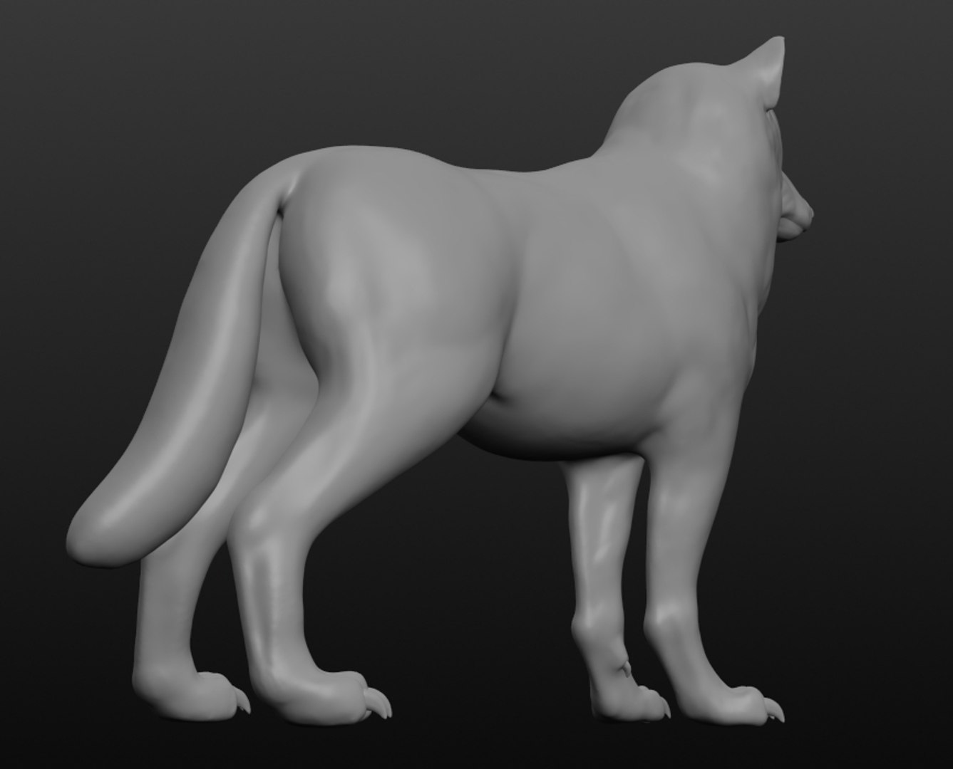 3D Wolf Base Mesh - TurboSquid 1412465