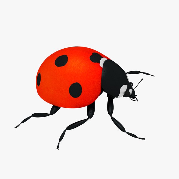 Ladybug 3D model - TurboSquid 1214546