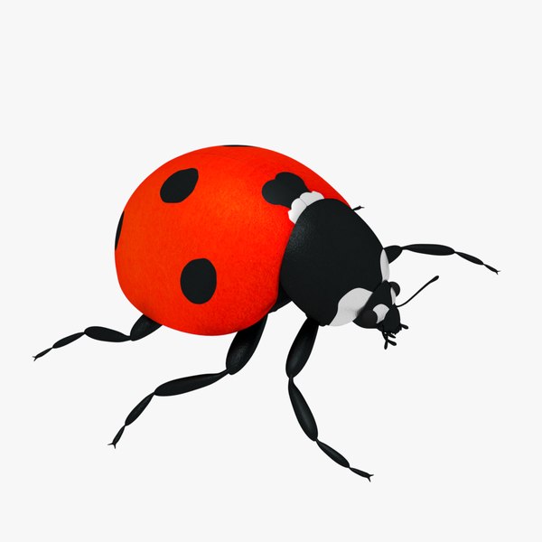 Ladybug 3D model - TurboSquid 1214546