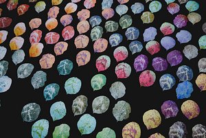 180 Cosmic Leaf Petals with Geometry and Atlas 3D model