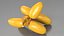 Fruits Collection 10