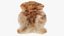 Natural Sheepskin Rug Brown Fur