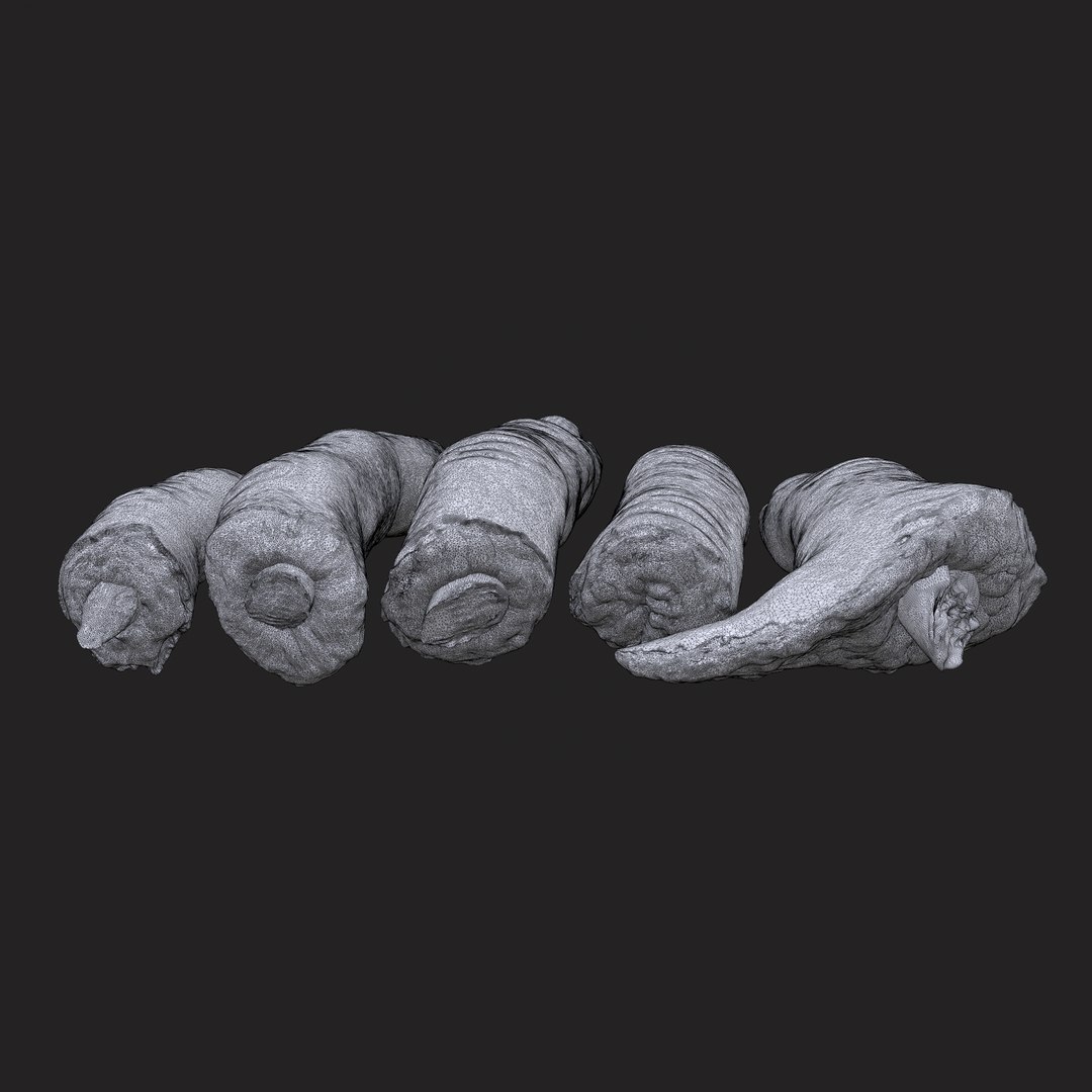 3D Severed Fingers https://p.turbosquid.com/ts-thumb/nc/vt8kYe/eg/8/png/1648159018/1920x1080/fit_q87/b5ce7f83cb5f720eb36d268f3e0be06bd92f101f/8.jpg