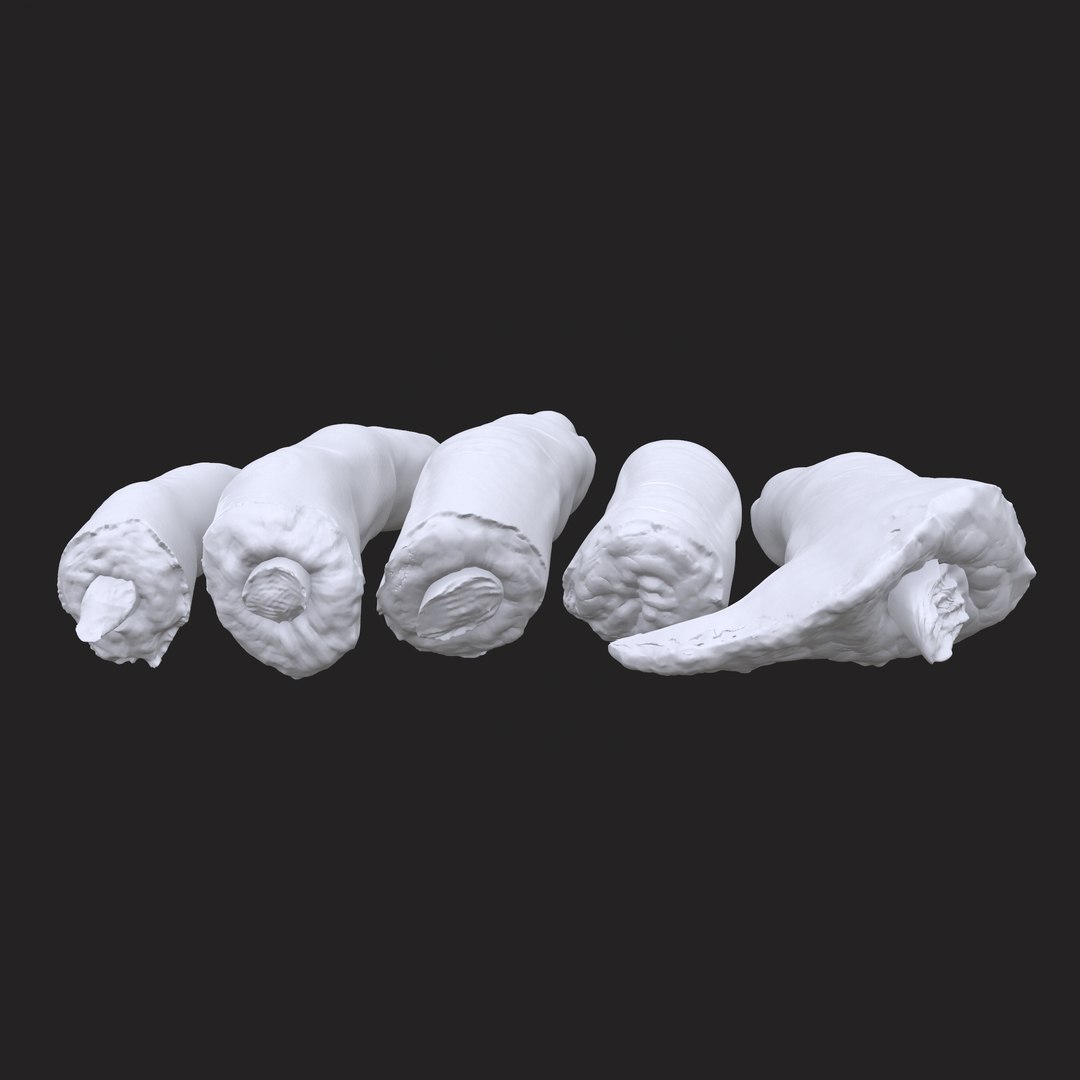 3D Severed Fingers https://p.turbosquid.com/ts-thumb/nc/vt8kYe/mQ/7/png/1648159016/1920x1080/fit_q87/230e6ec7174d43748267ced4d82f9aa95536792b/7.jpg