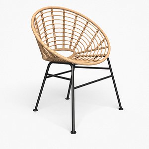 Shell outdoor wicker Dining Chair model