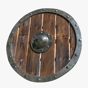 Old viking shield