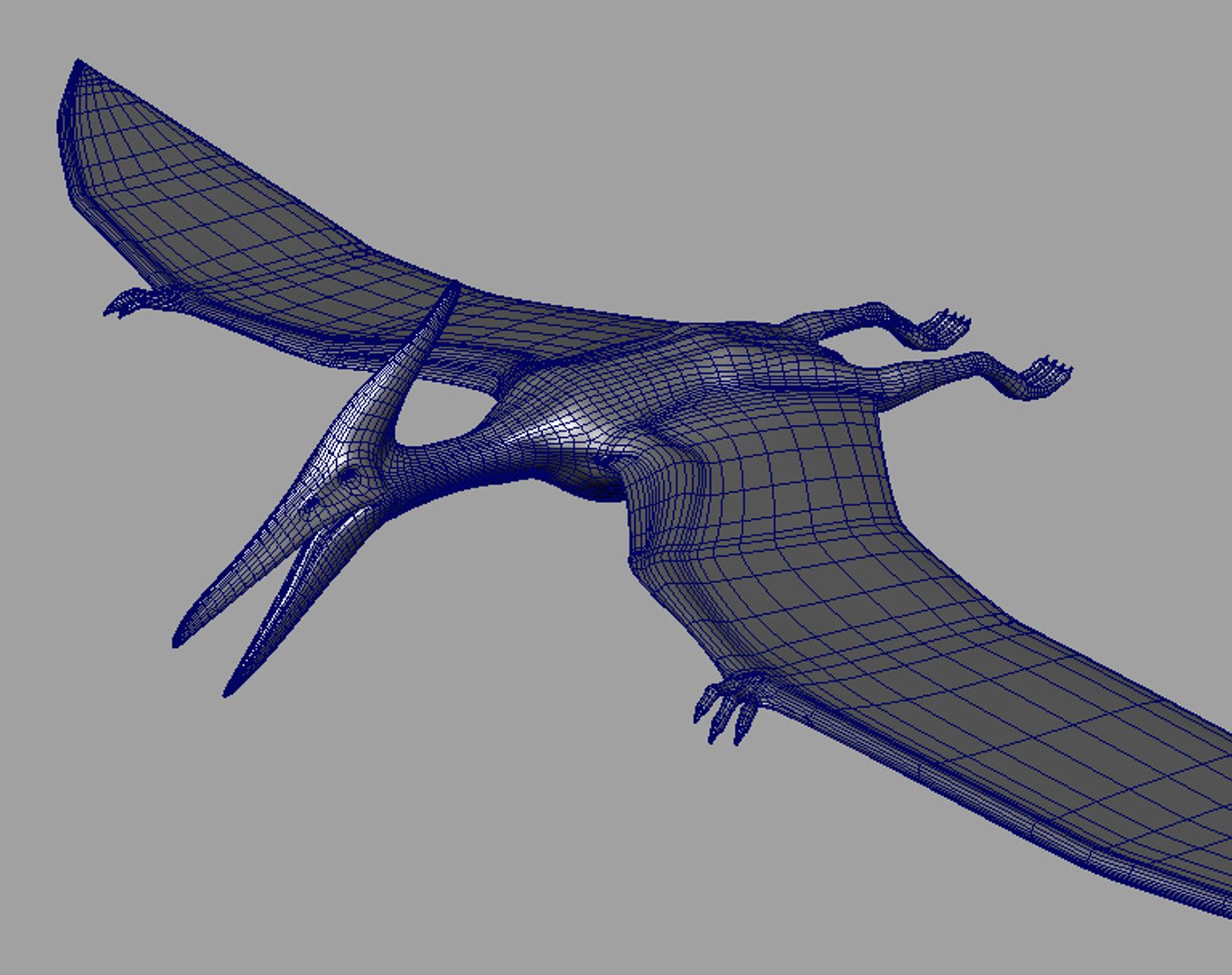 Pteranodon Jurassic Park - 3d Model