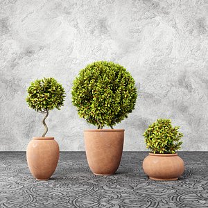 Ornamental indoor and outdoor plant pot 3D