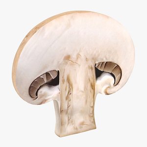 realistic mushroom slice model