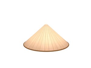 3D conical hat model