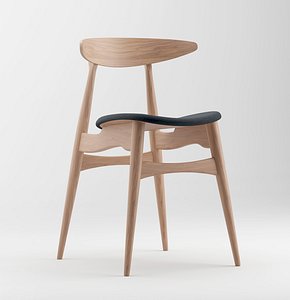 ch33 3D model