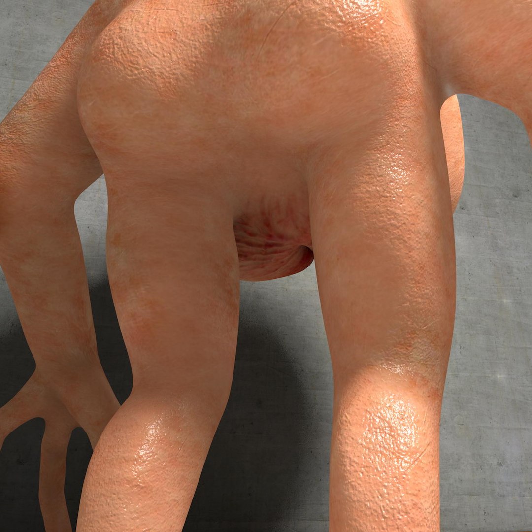 3d model walking butt https://p.turbosquid.com/ts-thumb/nd/fgBCZO/s0NVDXp9/butthead04_0029/jpg/1420803930/1920x1080/fit_q87/6538c97e931b6d982c8f6ab5a104c9144901b850/butthead04_0029.jpg