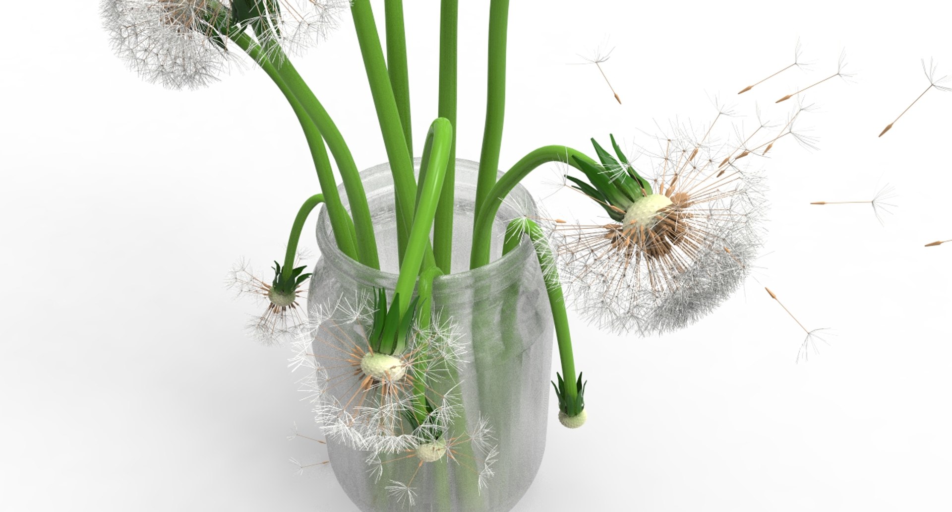 dandelions 3D https://p.turbosquid.com/ts-thumb/nd/oowV0Q/dCCrt6PZ/295/jpg/1583916696/1920x1080/fit_q87/bfe5dc64487ed8b59fd310c861e24050ae288a85/295.jpg