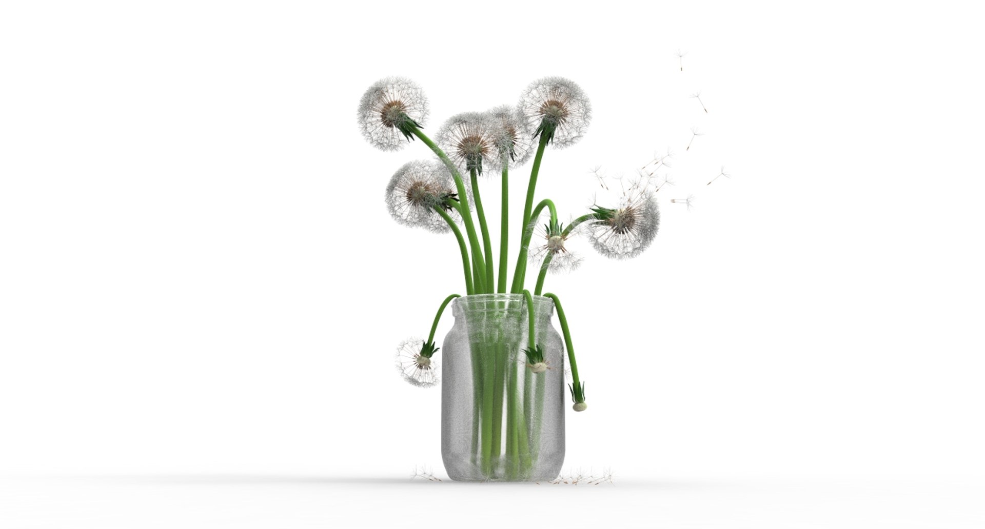 dandelions 3D https://p.turbosquid.com/ts-thumb/nd/oowV0Q/jDRakaCL/296/jpg/1583916696/1920x1080/fit_q87/ffbb7fcc2a564d5d7016d65d1571cce0a4de6a90/296.jpg